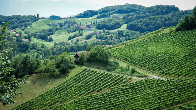 Weinstraße Steiermark